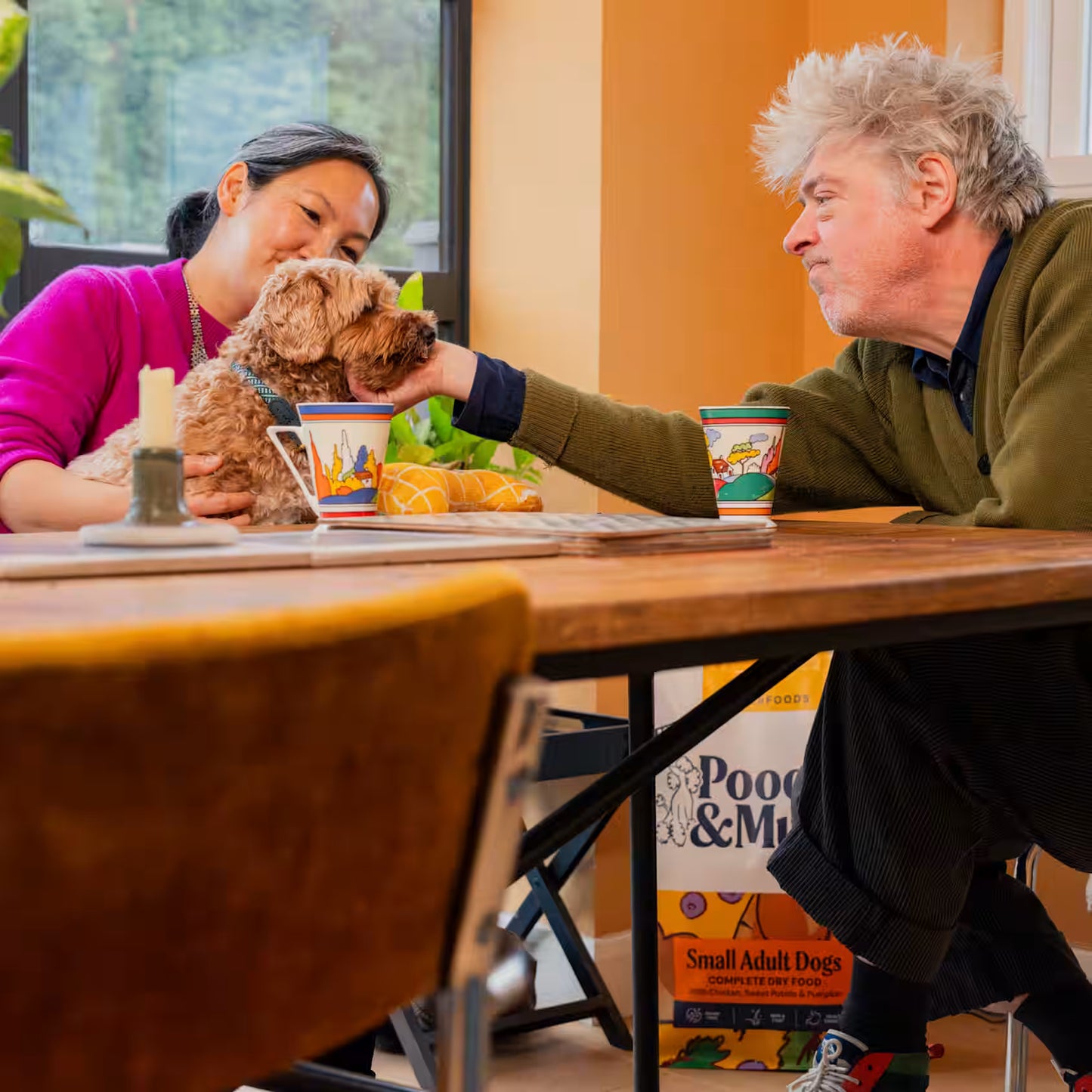 Small dog eating Pooch & Mutt Small Dog Complete Superfood dog food in a cozy home setting.