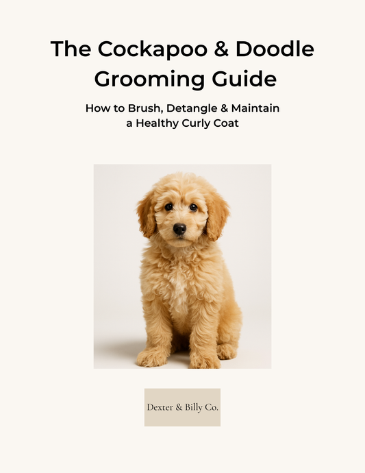 The Cockapoo & Doodle Grooming Premium Guide (Digital Download)