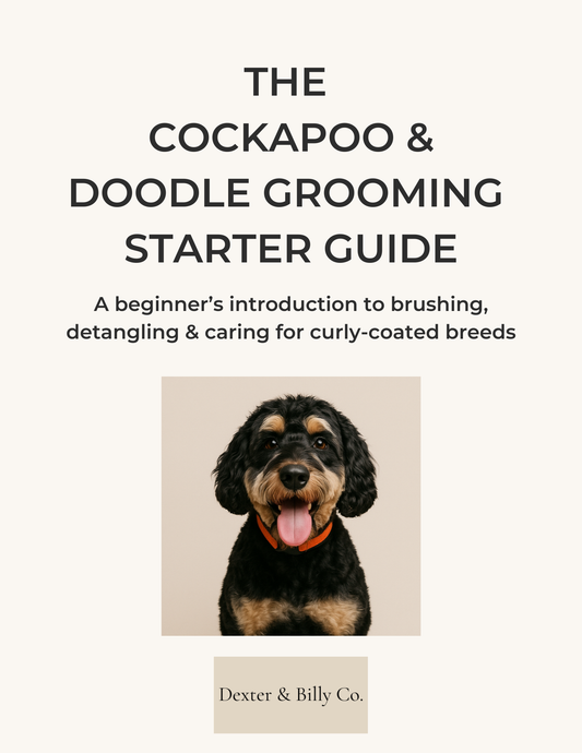Free Cockapoo & Doodle Grooming Starter Guide (Digital Download)