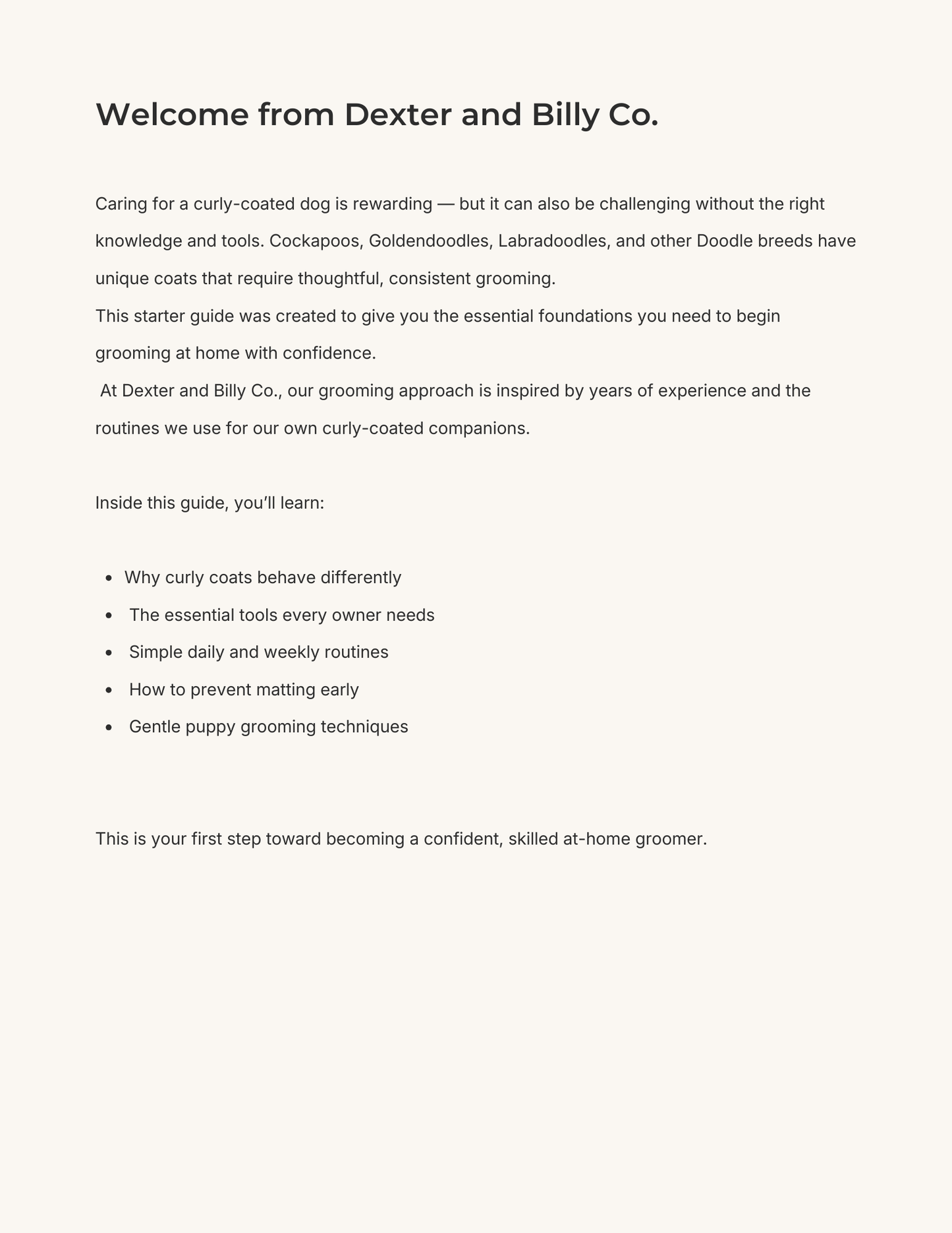 Free Cockapoo & Doodle Grooming Starter Guide (Digital Download)