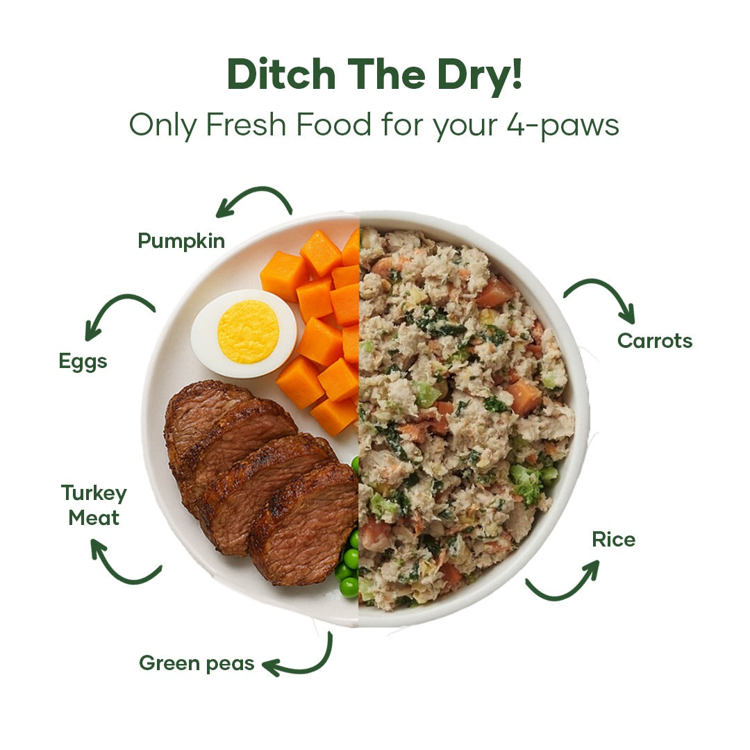 Aniwell Fresh Food Packs for dogs with real meat, vegetables, and natural herbs, showcasing the nutritious dog food packaging.