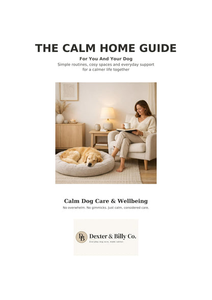 A calm dog resting on a bed beside their owner in a soft neutral living room