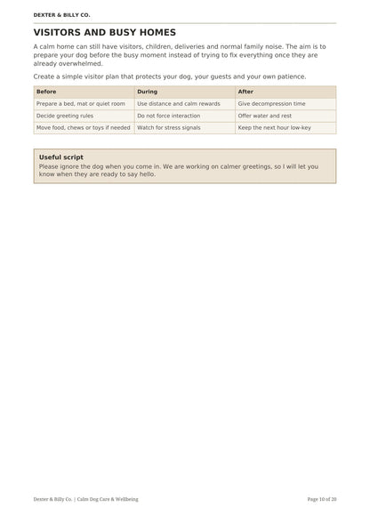 Page from The Calm Home Guide digital download by Dexter And Billy Co., showing tips for creating a peaceful space for you and your dog.