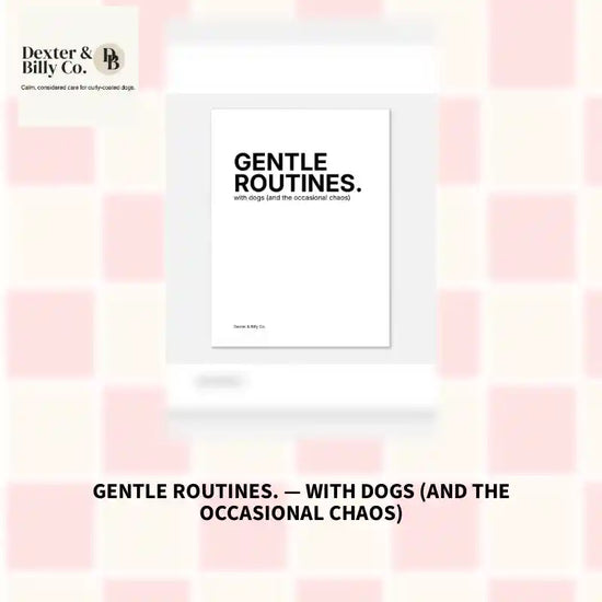 GENTLE ROUTINES. &mdash; with dogs (and the occasional chaos) by@Outfy