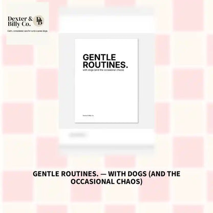GENTLE ROUTINES. &mdash; with dogs (and the occasional chaos) by@Outfy