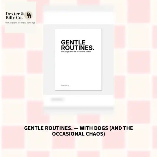 GENTLE ROUTINES. &mdash; with dogs (and the occasional chaos) by@Outfy