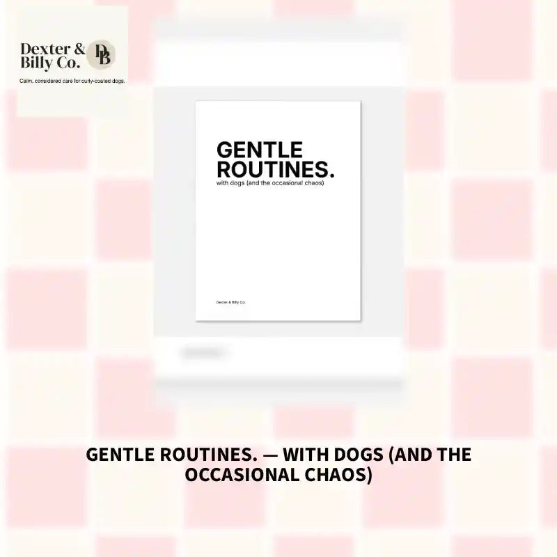GENTLE ROUTINES. &mdash; with dogs (and the occasional chaos) by@Outfy