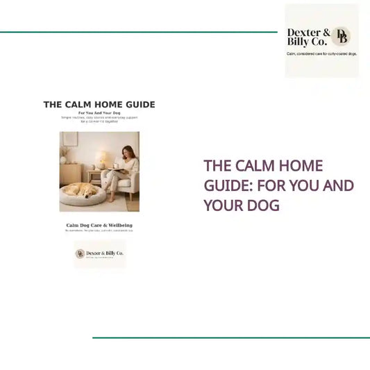 The Calm Home Guide: For You and Your Dog by@Outfy