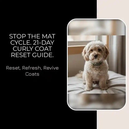 Stop the mat cycle. 21-day curly coat reset guide. by@Outfy