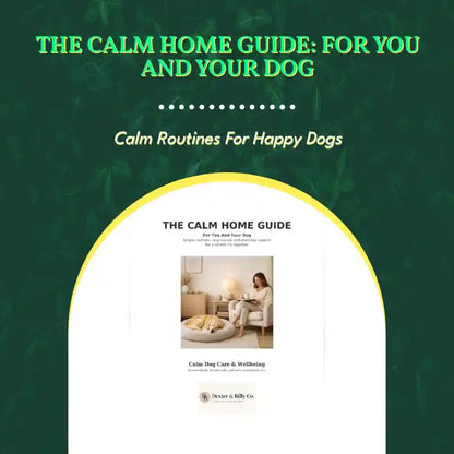 The Calm Home Guide: For You and Your Dog by@Outfy