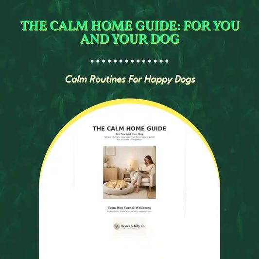 The Calm Home Guide: For You and Your Dog by@Outfy
