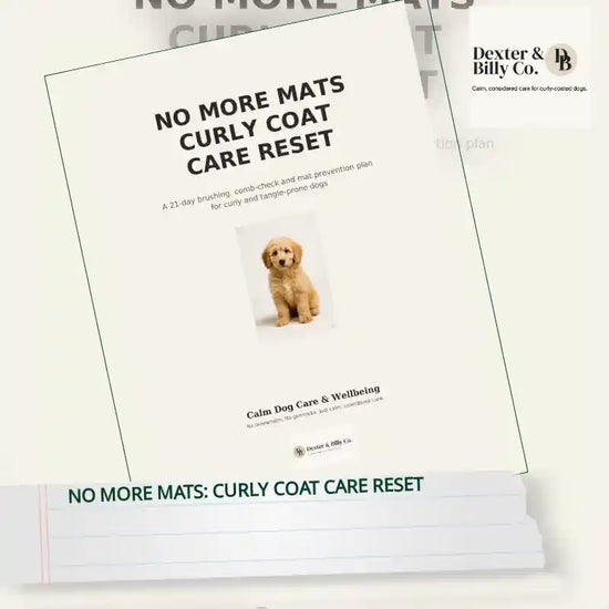 No More Mats: Curly Coat Care Reset by@Outfy