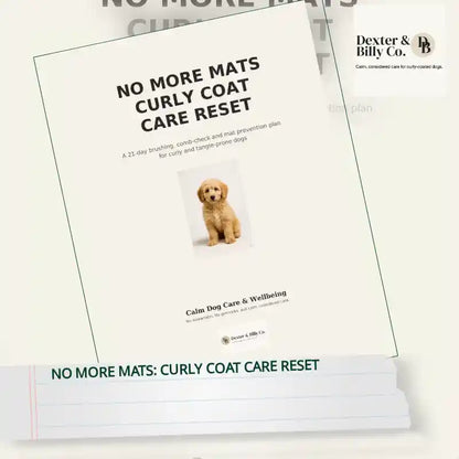 No More Mats: Curly Coat Care Reset by@Outfy