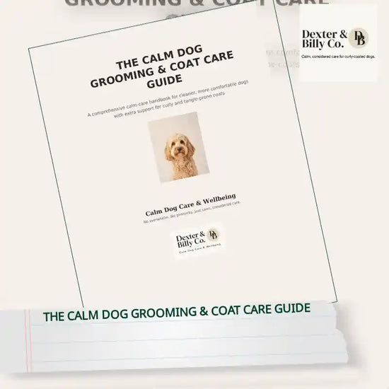 The Calm Dog Grooming &amp; Coat Care Guide by@Outfy