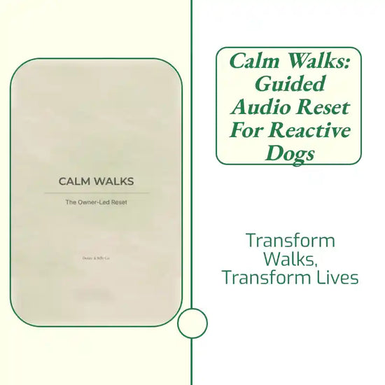 Calm Walks: Guided Audio Reset for Reactive Dogs by@Outfy
