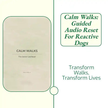 Calm Walks: Guided Audio Reset for Reactive Dogs by@Outfy