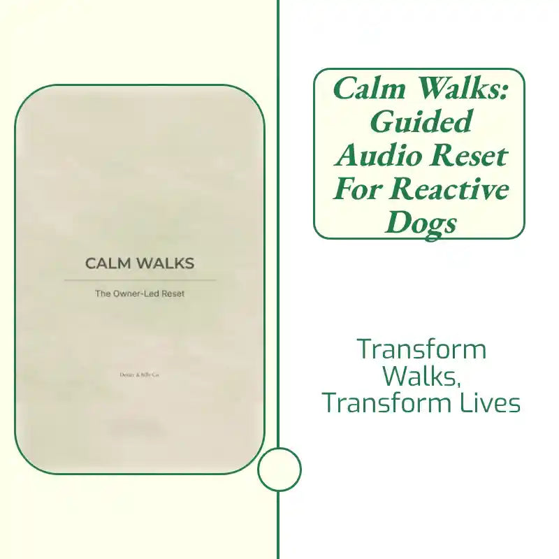 Calm Walks: Guided Audio Reset for Reactive Dogs by@Outfy