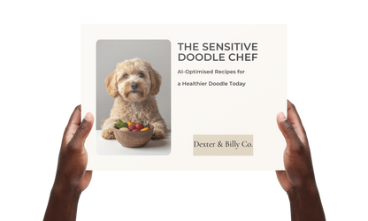 The Sensitive Doodle Chef Recipe Book (Digital Download)