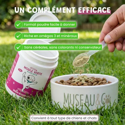 Muzzle & Co Green Mussel dog supplement for joints and mobility, 100g jar showing green mussel capsules and product label.
